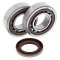 Crankshaft bearing and seal kit All Balls Racing