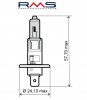 Bulb RMS 246510030 12V 55W, H1 plavi