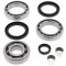 Differential bearing and seal kit All Balls Racing