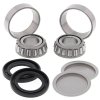 Swing arm bearing and seal kit All Balls Racing SAB28-1056