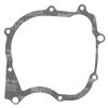 Ignition cover gasket WINDEROSA ICG 816151