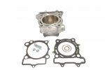 Cylinder kit ATHENA EC510-009