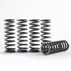 Hi-Temp Clutch Spring Kit HINSON CS341-5-0311 (set of 5)