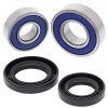 Center Support Bearing Kit All Balls Racing WB25-1781